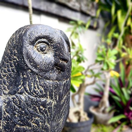 Panda Lumbung Bed and Breakfast Sanur Buitenkant foto
