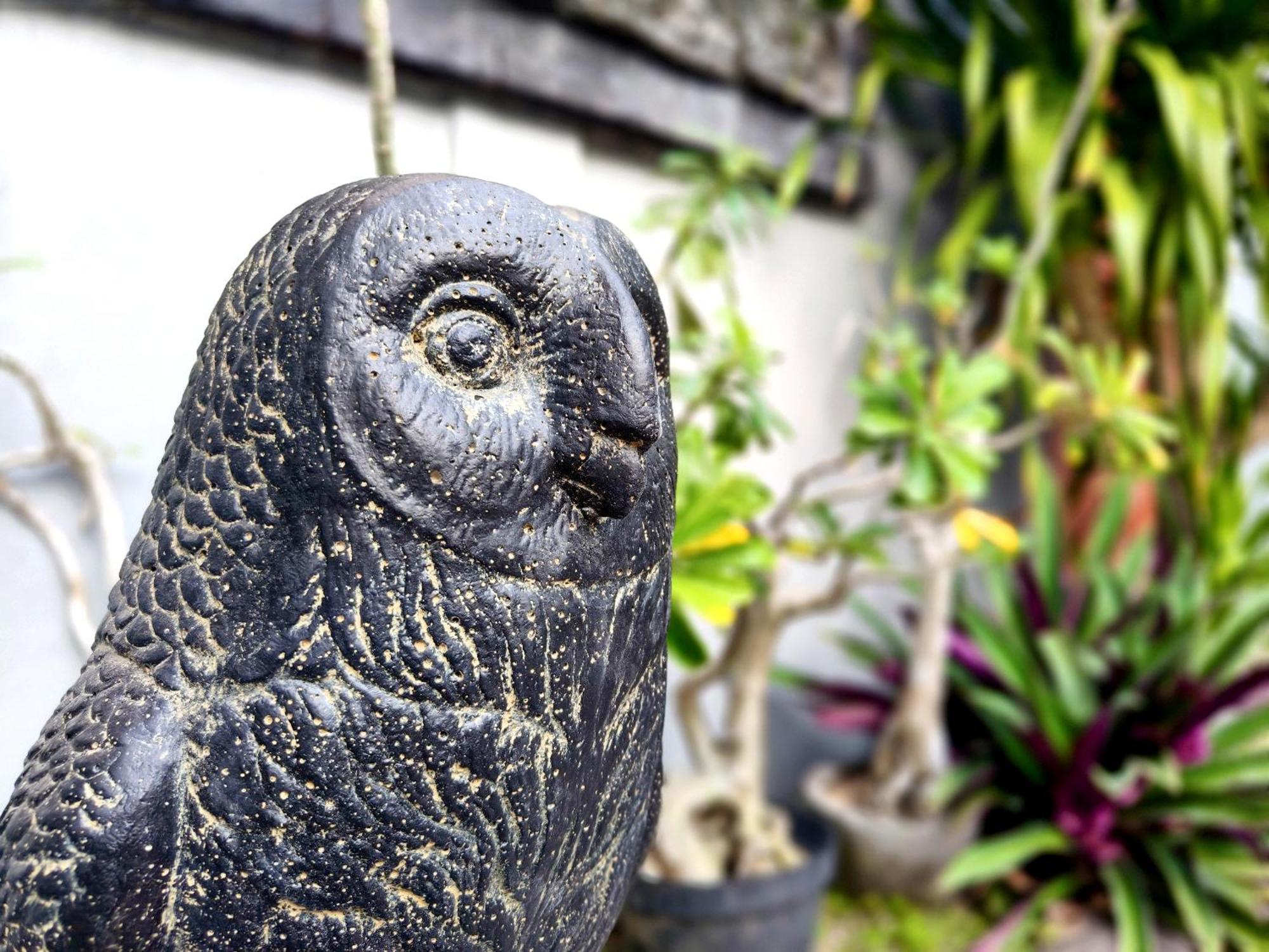 Panda Lumbung Bed and Breakfast Sanur Buitenkant foto