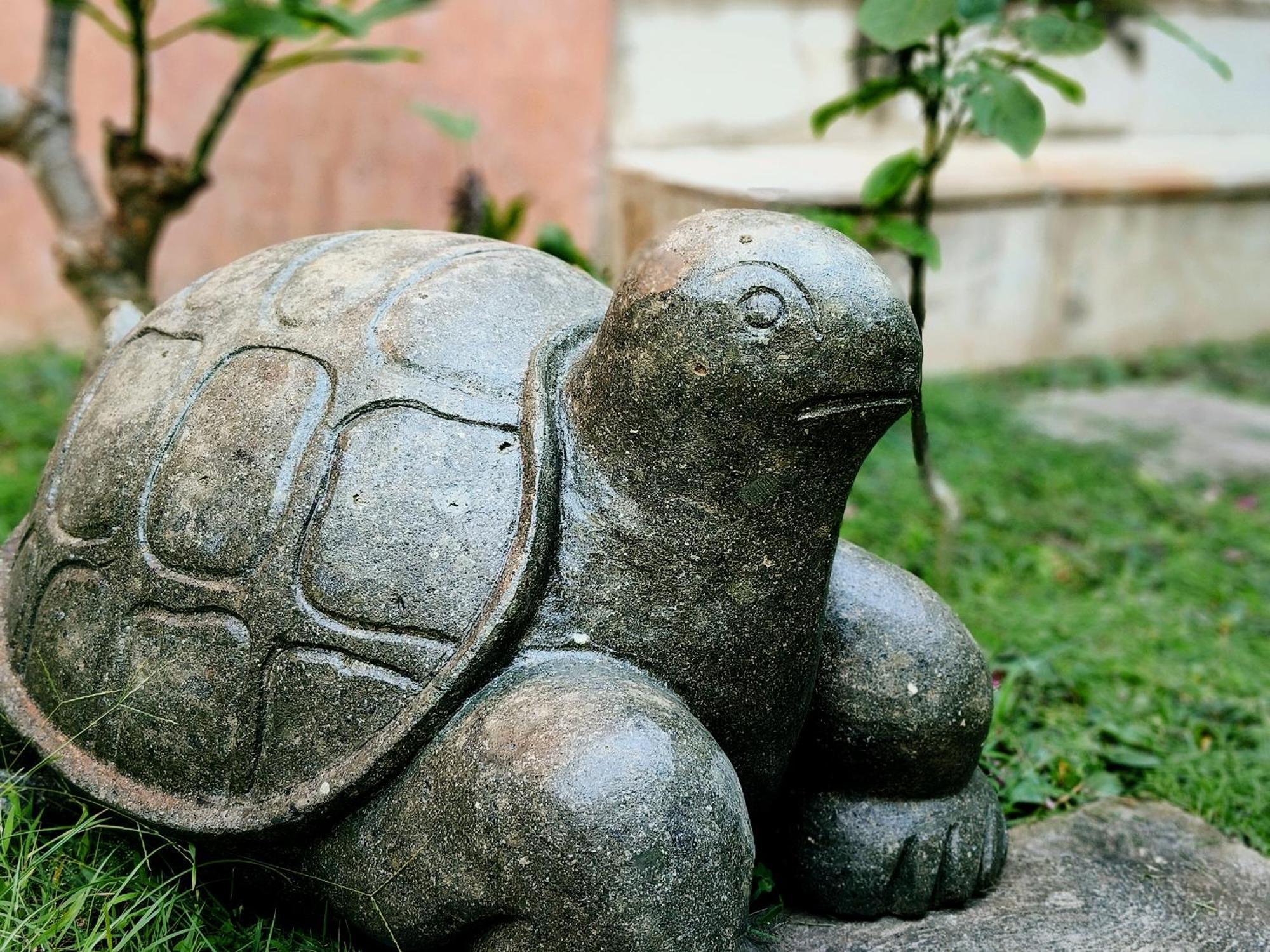 Panda Lumbung Bed and Breakfast Sanur Buitenkant foto